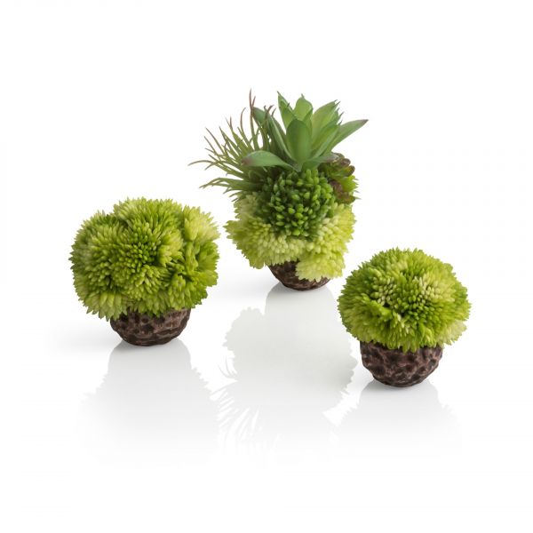 biOrb Korallenball Set grün