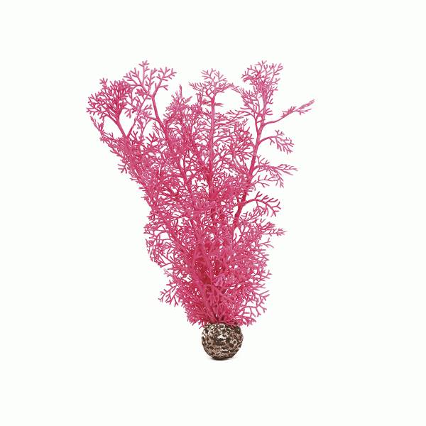 Oase biOrb Hornkoralle mittelgroß pink