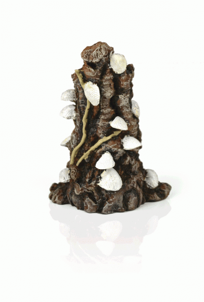 Oase biOrb Muschelbaumstumpf Ornament weiß