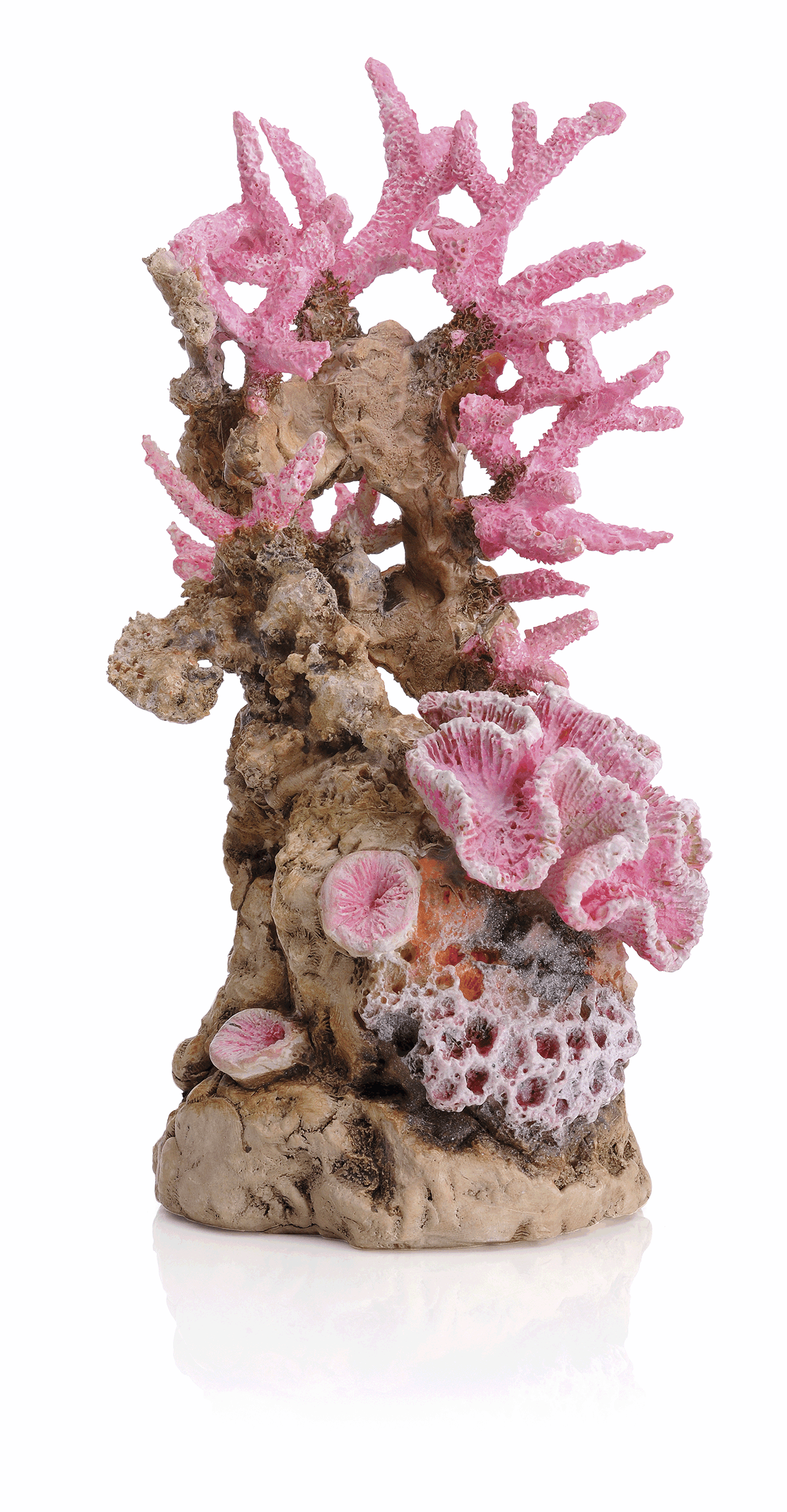 FOT_PRD_FREI_FR_46130-biOrb-Korallenriff-Ornament-Pink-001_-SALL_-AQU_-V158d0fbebe3834