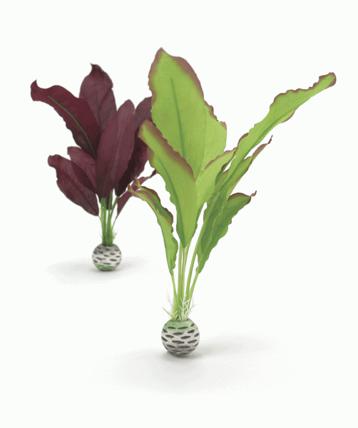 Oase biOrb Seidenpflanzen Set mittelgroß grün & lila