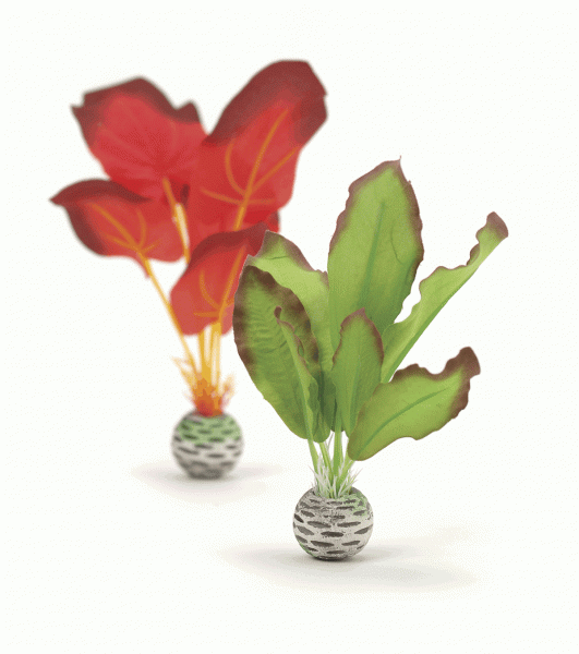 Oase biOrb Seidenpflanzen Set klein grün & rot