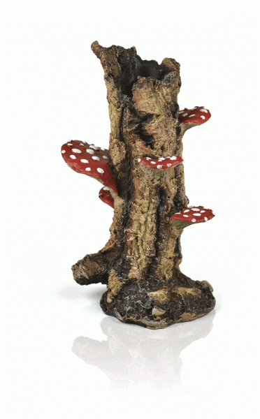 Oase biOrb Pilzbaumstumpf Ornament